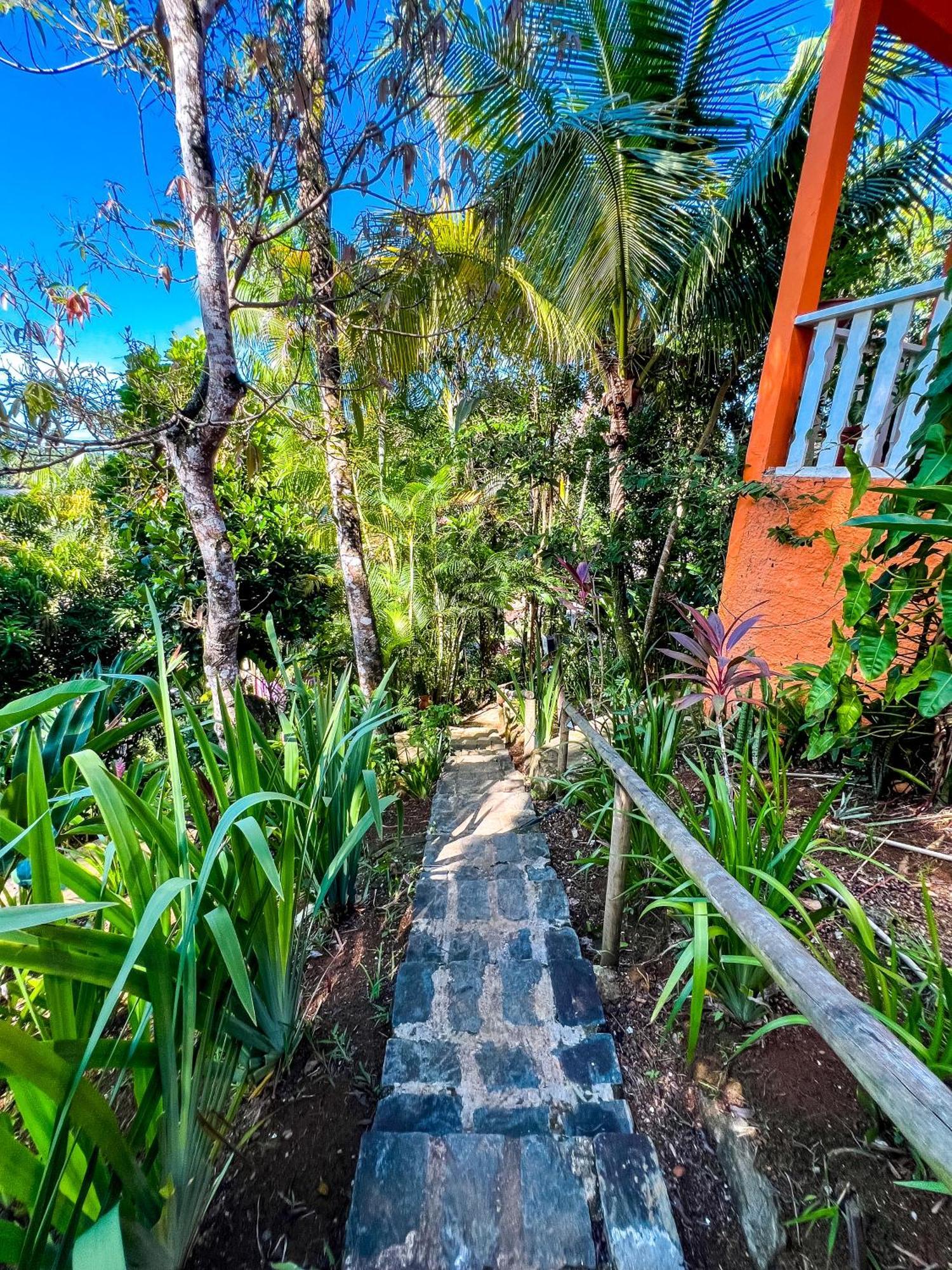 Hostel Zen - Casa Na Floresta Itacare Ngoại thất bức ảnh