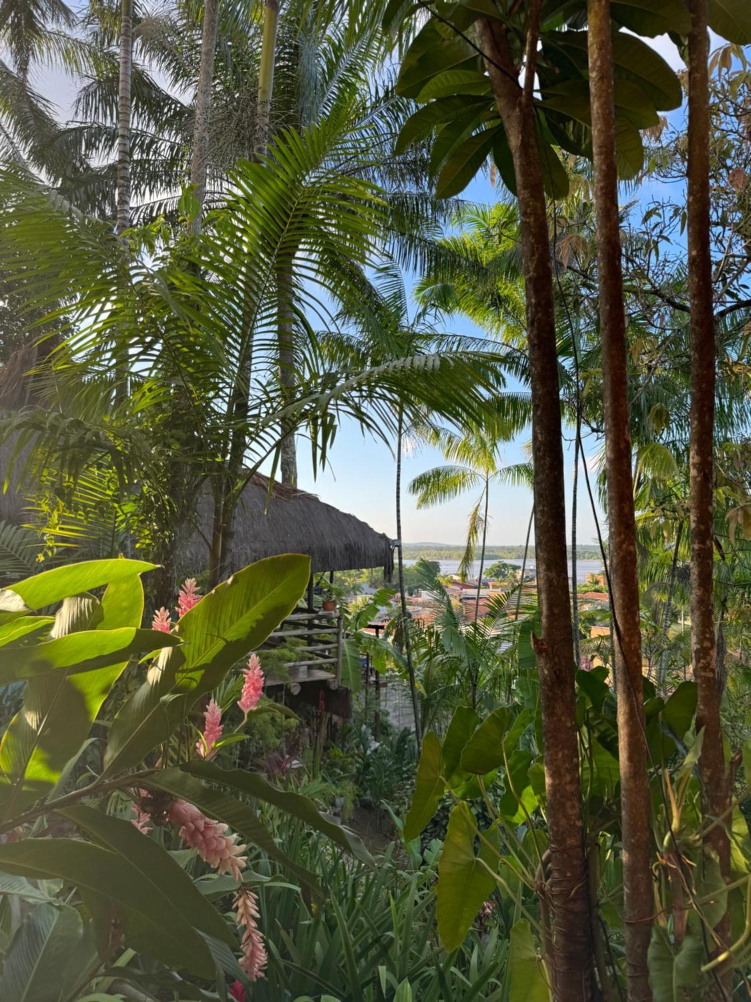 Hostel Zen - Casa Na Floresta Itacare Ngoại thất bức ảnh