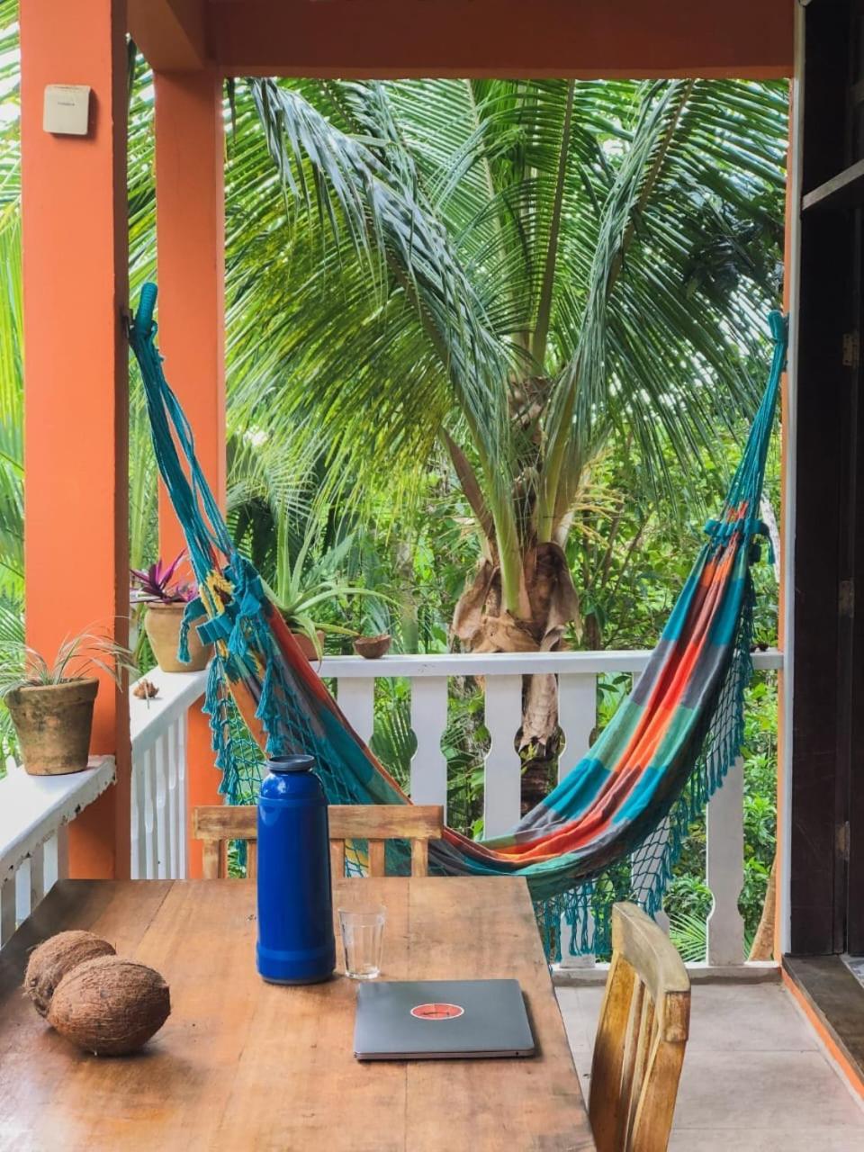 Hostel Zen - Casa Na Floresta Itacare Ngoại thất bức ảnh